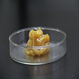 ߜ朗l͡͸ߜ朗l(lin)ߜ朗l