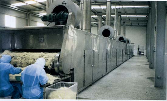 KS˺əC KS˺əCS KS˺əCr