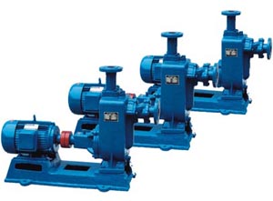 65ZW65-25100ZW100-15SֱN