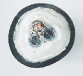 CEMSh(hun)ͺϹܱкA늰