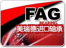 FAG 23130E1A.MS  \Ź