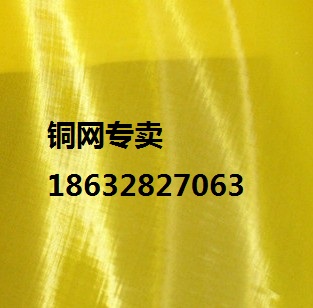 S~W(wng)SS~W(wng)F(xin)؛