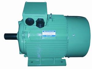 湘潭湘電電機(jī)有限公司