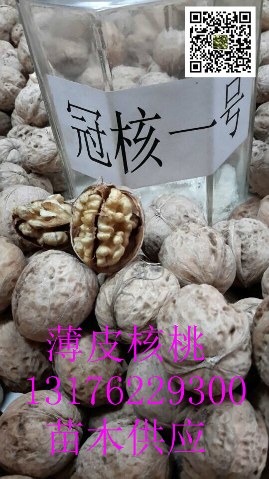 ӱ磬_(ti)ˮںһ̖(ho)