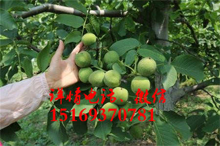 պl(f)պպr