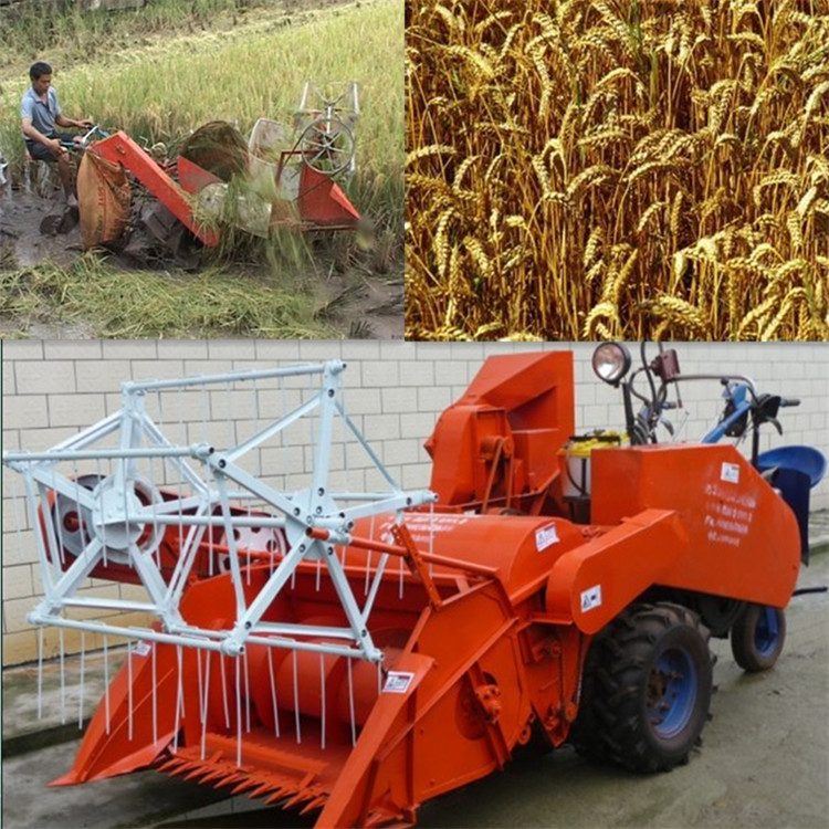 a(chn)(lin)ոC(j) Сˮ΢ÓһwոC(j)