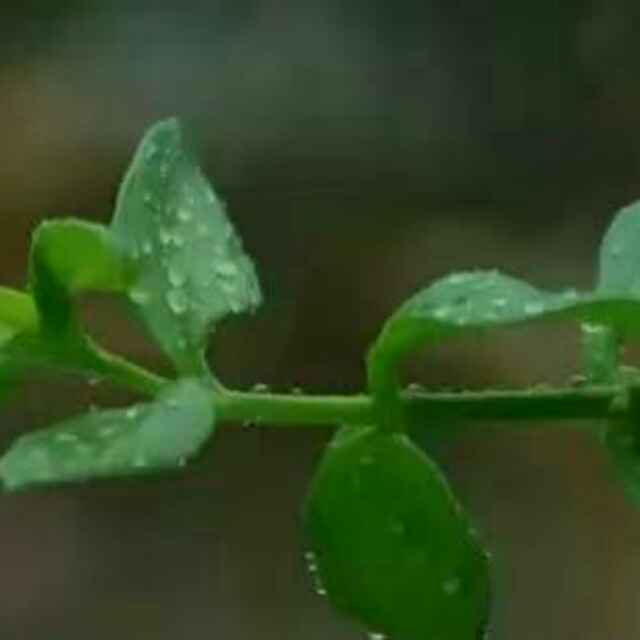 _UTU