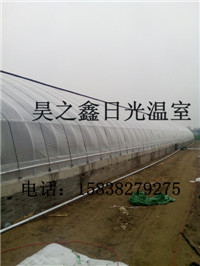 l(xing)(yng)QڽһѴsҪX(wn)֮Μҹ޹˾