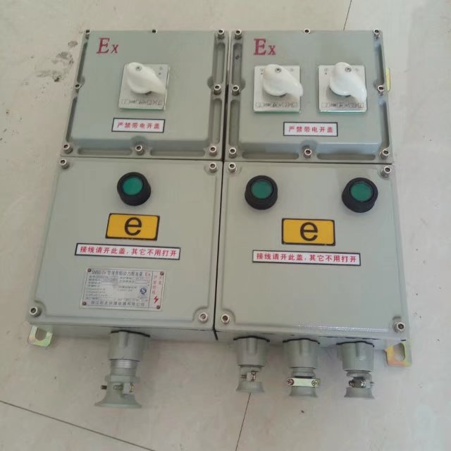 BXM(D)-DIP戶內(nèi)粉塵防爆配電箱 掛壁式