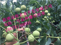 ںһ̖籣控аl(f)λ