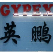 Vݰƭh(hun)Ƽ޹˾