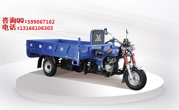 (yng) Q1̫200-2.55_T̿ ݆Ħ܇