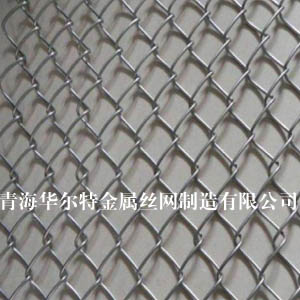 ٹW(wng)ຣFzW(wng)Ԕ
