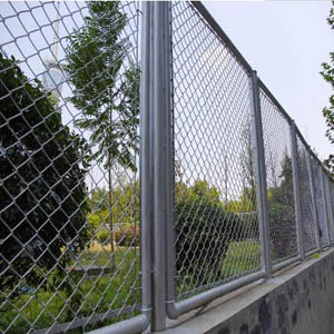 ຣo(h)W(wng)(dng)o(h)W(wng)a(chn)