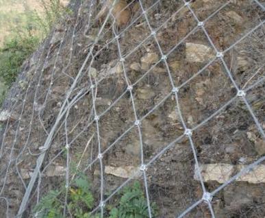 ຣ߅·oW(wng)o։mW(wng)c