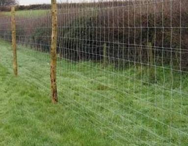 ຣԭھW(wng)ԭW(wng)r