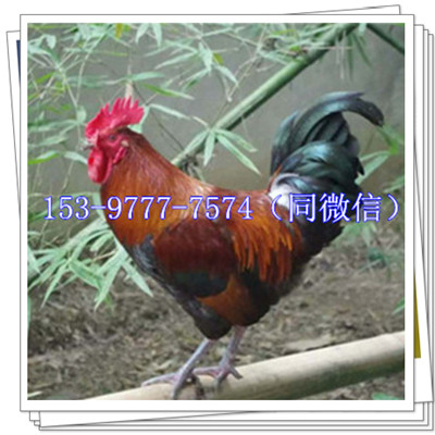_(d)huSң_(d)hul(f)