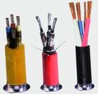 JVVP-521.0L?-JVVPӋ(j)C(j)b|