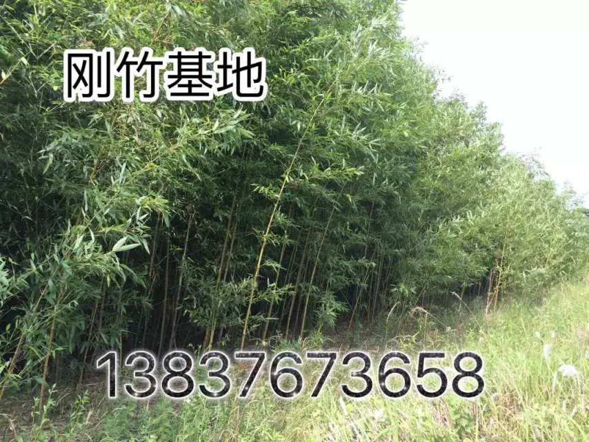 3Ӄr(ji)  2ֵ   1׸߹l(f)