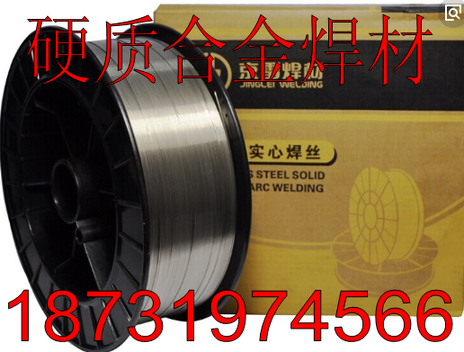 GTS-385ER385PTiGz̖r