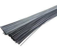 pTIG-2209p಻PER2209廡z