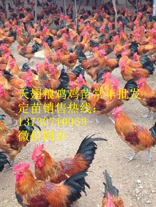ĴYꖼtul(f)W(wng)tuc