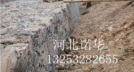 ZAʯ\W(wng)Sʯ\W(wng)a(chn)ƷֱN