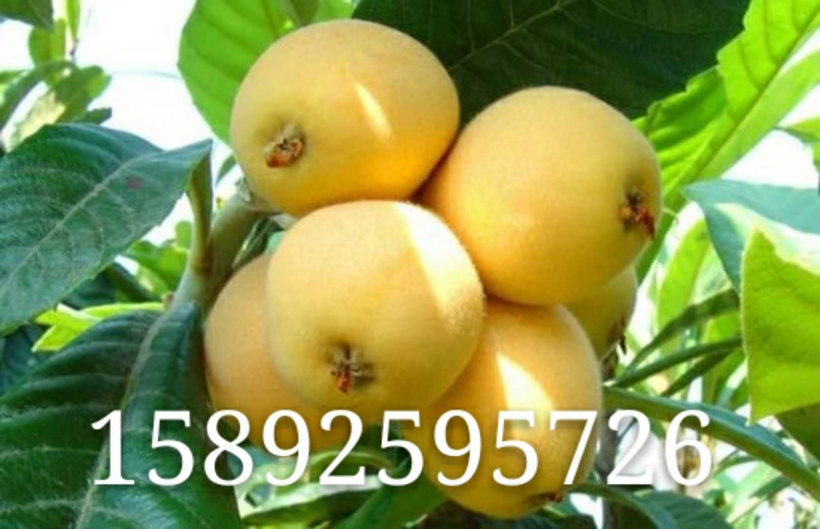 r(ji)l(f)