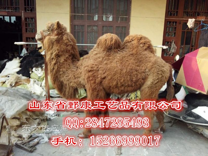 ؅^(q)^b