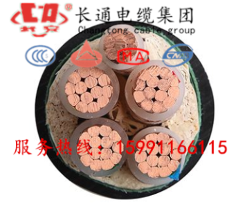 (bio)zYJV 335+216ƽ|