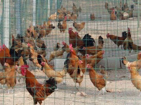 (j)Na(chn)B(yng)ֳul(f)r(ji)