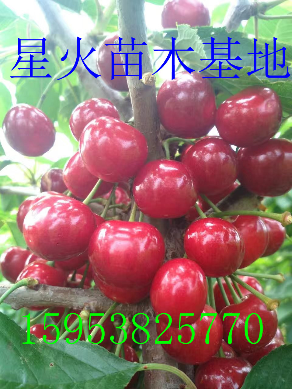 Xһ 2018r
