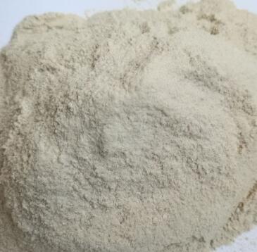 ຣͱ܄͸ľzo(h)J(rn)(zhn)ͨ