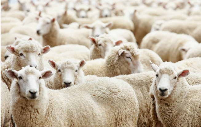 ëM(jn)ڈ(bo)P(gun)ϺëM(jn)ڈ(bo)P(gun)˾