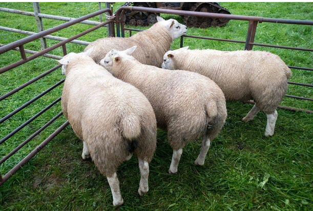 ϺëM(jn)ڈ(bo)P(gun)ĴëM(jn)~