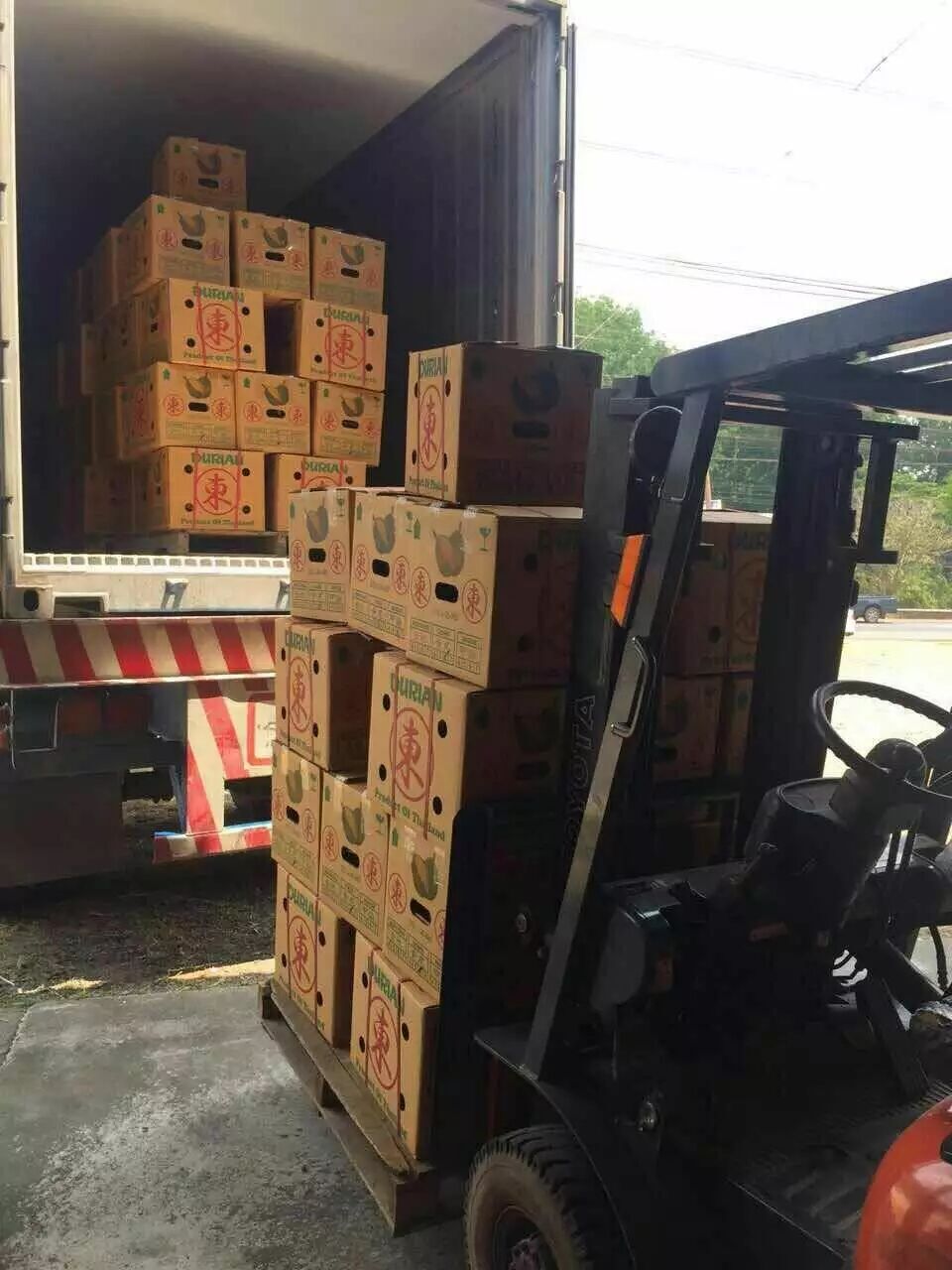 u\(yn)(bo)P(gun)˾(bo)P(gun)ʽ