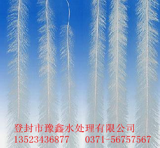 `_hSҹ(yng)(yu)|(zh)Ĥw