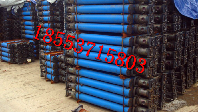 DW22-300/100XwҺ֧ Sֱ