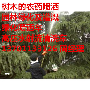 쉯h(hun)l(wi)СW(xu)@־Gˎ137һ0113һ3126