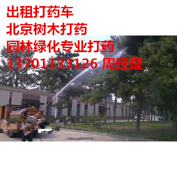 ӑch(hun)l(wi)(k)Gˎ137һ0113һ3126