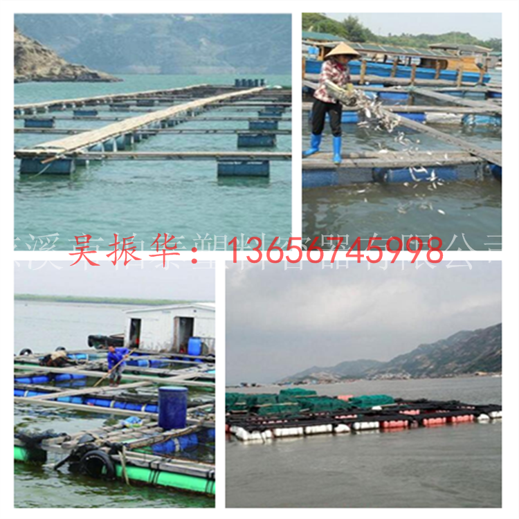 B(yng)ֳͰ W(wng)ĭͰl(f) W(wng)両ͲDƬ