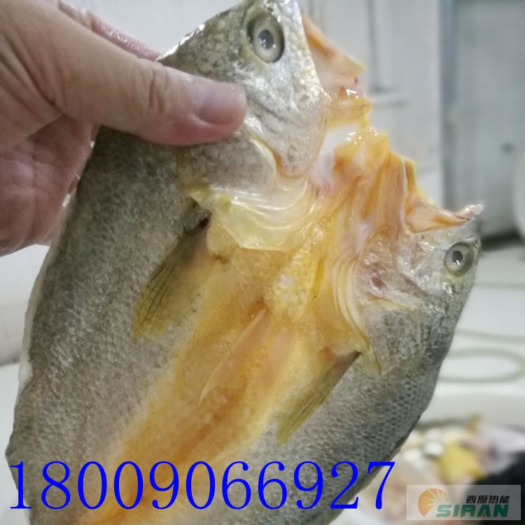 (yng)ԭSR-CC-100ЧD(zhun)݆C(j)S~úəC(j)