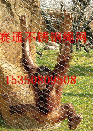 ʘO(sh)ʩo(h)W(wng) (dng)@\SֱN