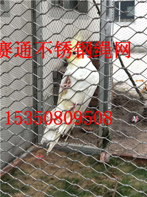 P䓾KW(wng) ֲW(wng)S