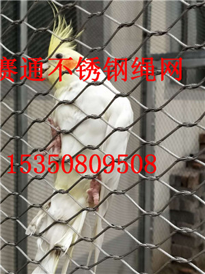 @P䓇W(wng) BW(wng)NۏS