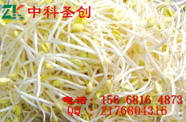 ȫԄӶѿC(j) СͶѿC(j) ѿC(j)Xһ_