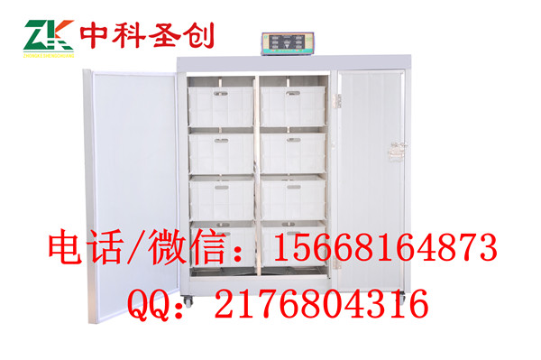 ѿC(j)a(chn)ѿҕl ѿC(j)Xһ_