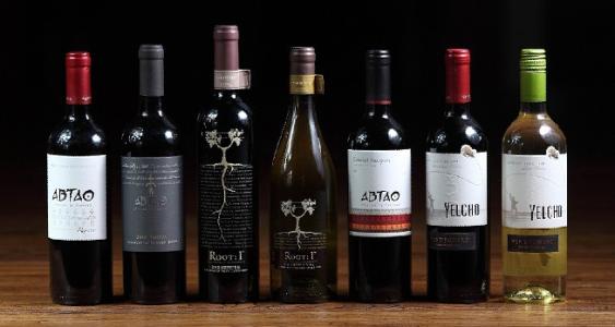 ۼtM(jn)ڈ(bo)P(gun)M(fi)