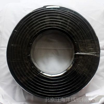 SֱN rvv3x0.75 Դ ҂׌ԴӰȫ׌ӷ