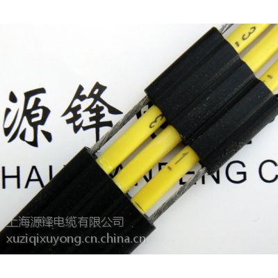 Դh |ݱ|tvvb2g 3*2.5,S|